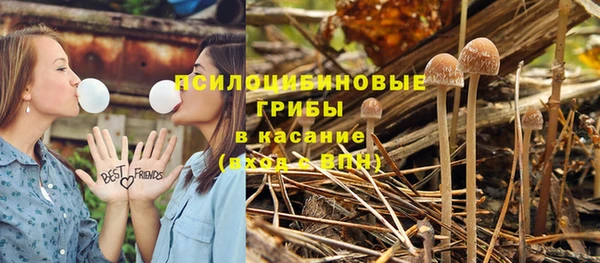 ECSTASY Беломорск