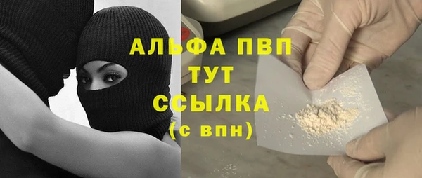 хмурый Белокуриха