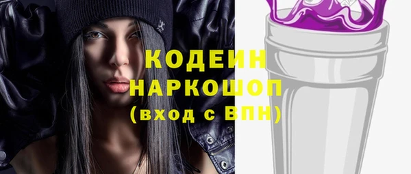 хмурый Белокуриха