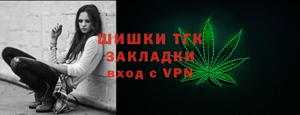 хмурый Белокуриха