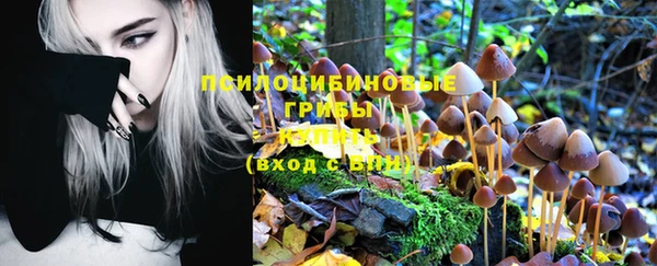 ECSTASY Беломорск