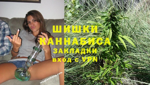 сатива Белоозёрский